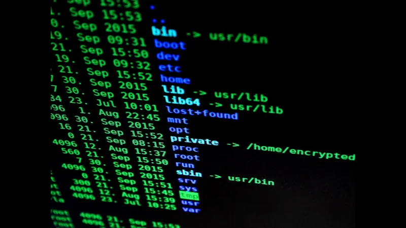 The Difference Between Virus, Malware, Spyware, and Ransomware - Internet & Security visual representation