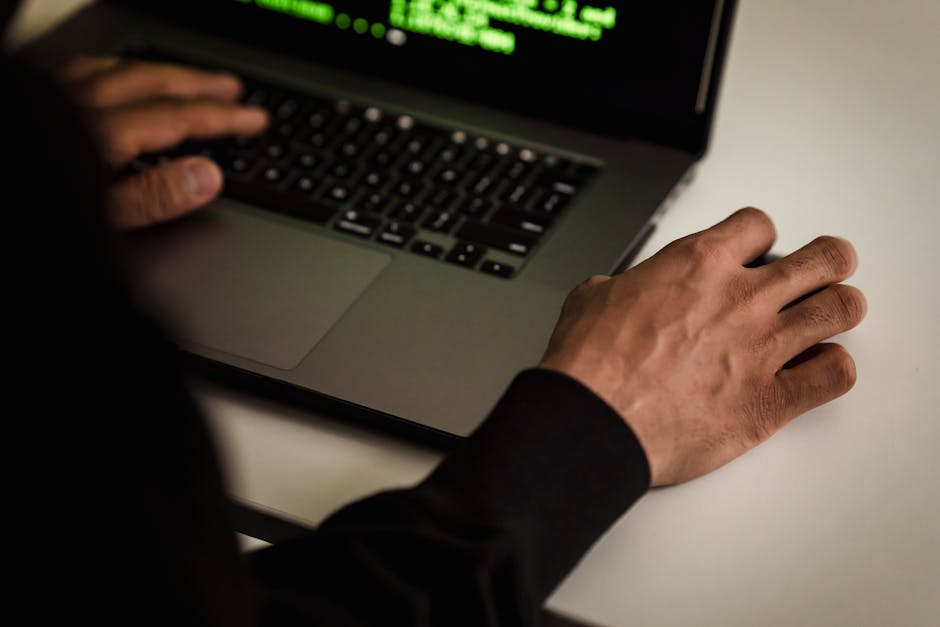 XAI for Fraud Detection Models