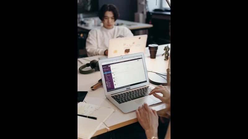 The Difference Between Front-End and Back-End - Software Development detailed view
